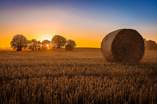 Temp Glass w/ Foil – Hay Bale